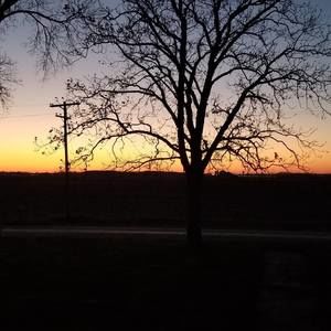 Meet your Posher, Ana